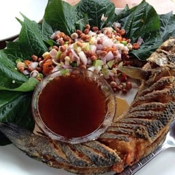 วังยางรีสอร์ท