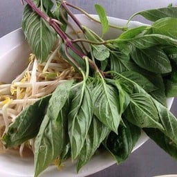 เพชรก๋วยเตี๋ยวเรือ