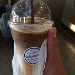 ลาเต้เย็น