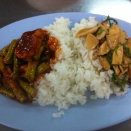 ข้าวราดแกง แบบเจๆ