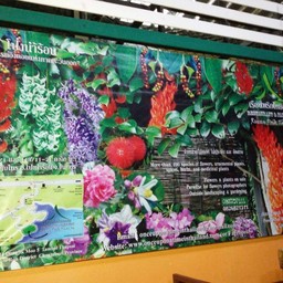 เรือนพริกไทยอ่อน ที่คลองพระพุทธ ใครเคยไป.