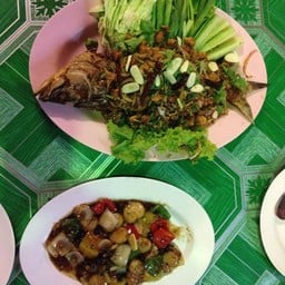ปลากระพงไร้ก้าง
