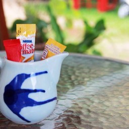 สวนหลังบ้าน