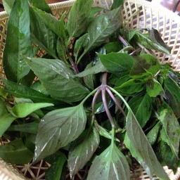 OK ก๋วยเตี๋ยวอยุธยา