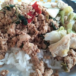 ผัดกะเพราเจ+ผักกาดขาวผัดราดข้าว