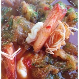 ต้นมะรุม