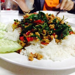 ผัดกระเพราหมูสับ