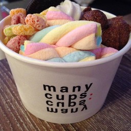 My Own Frozen Yogurt