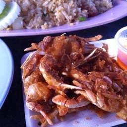 แม่นิตย์หอยนางรม