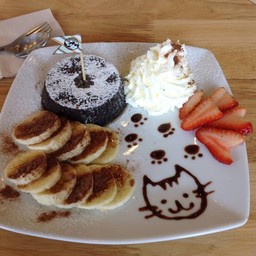 makura cat cafe