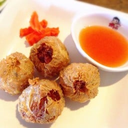 หอยจ้อปู
