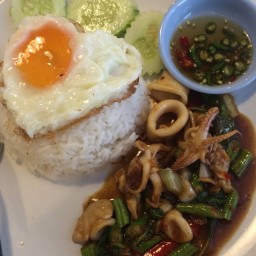 ข้าวราดผัดกะเพราะปลาหมึกไข่ดาว 55฿