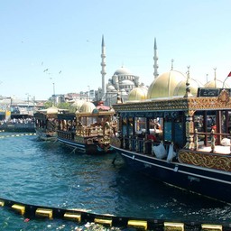 Eminönü Balikcisi Derya