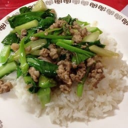 ป้าสาย