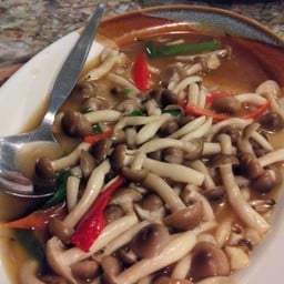 ผัดเห็ดออเรนจิน้ำมันหอย โดนใจสุดๆๆ 