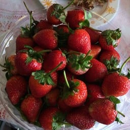สตอรวเบอรี่สุดอร่อย