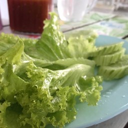 ผัก