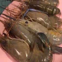 กุ้งตัวโตๆ เนื้อหวานๆ
