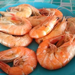 กุ้ง