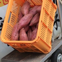 ร้านมันม่วง หน้าสวน