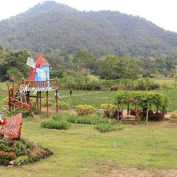 วิวธรรมชาติแบบ 360 องศาครับ