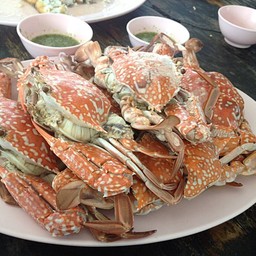 ปูม้า