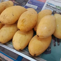 ข้าวเหนียวมะม่วง คุณยายวิเชียร