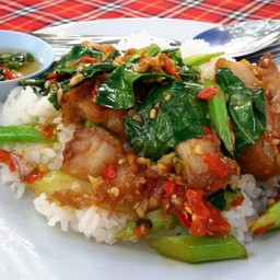 ข้าวคะน้าหมูกรอบ