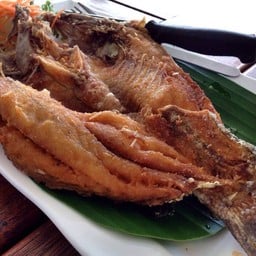 กะพงทอดน้ำปลา