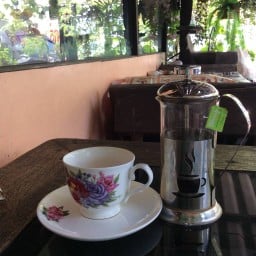 Pure Peppermint Leaves Tea