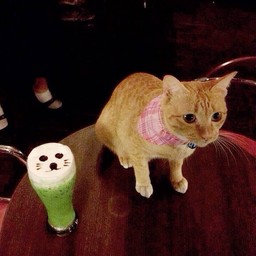 แวะมาเล่นกับเจ้าของร้านตัวจริงกันได้นะคะ