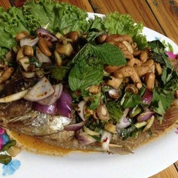 ครัวลุงแช่ม ป้าน้อย อาหารป่า-ปลาแม่น้ำ ริมทุ่งนา