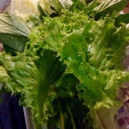 ผักเคียงในชุดปลาเผา