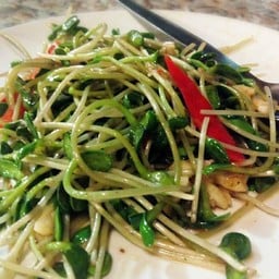 ผัดต้นอ่อนทานตะวันน้ำมันหอย เมนูกินเล่นสุขภาพ