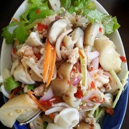 กัลปพฤกษ์ พิษณุโลก