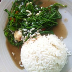 ผักหวานผัดไข่มดราดข้าว 40฿