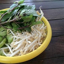 ป.เป็ด
