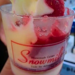 Snowmilk homemade gelato