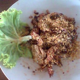 กระต่ายซีฟู้ด หาดแหลมสิงห์