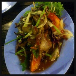 ยำหมูย่าง