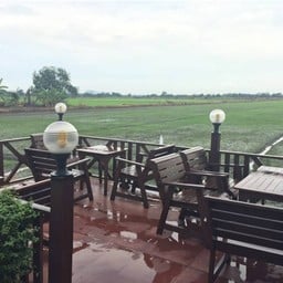 บรรยากาศทุ่งนา><~