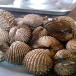 ร้านลุงหมื่น