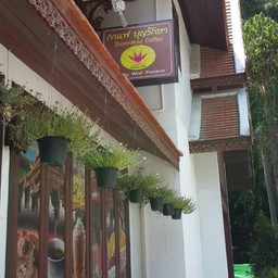 กาแฟบุญรักษา (วัดปันเสา) วัดปันเสา