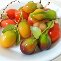 ร้านขนมหวาน พิมพิไล ตลาดน้ำ ๔ ภาค พัทยา