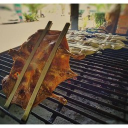 เป็ดไล่ทุ่งขนานแท้