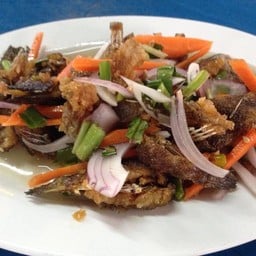 99 ล้าน ข้าวต้มเจ๊ออ อพอลโล่