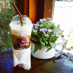 Coffee Carp.ประมง