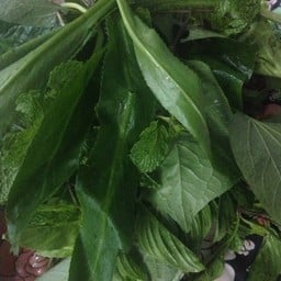 ตะกร้าผักสด