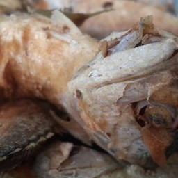 ข้าวแกงพัชชา