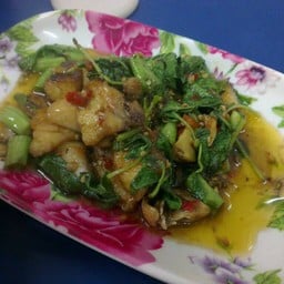 ซ้งกาแฟ 2495